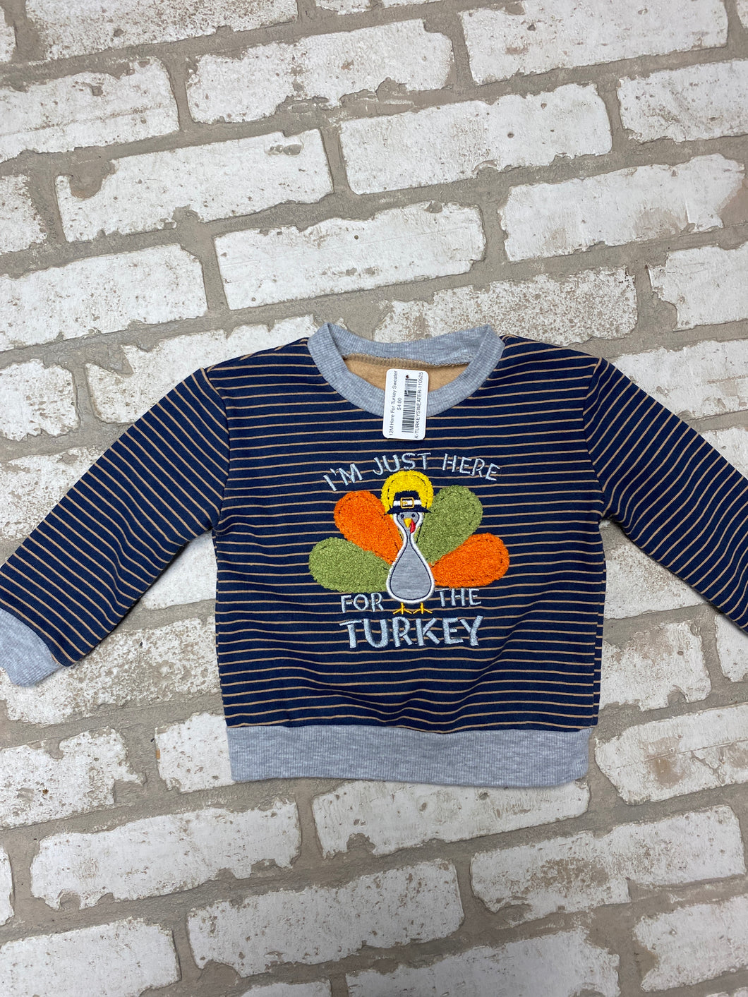 12M Here For Turkey Sweater