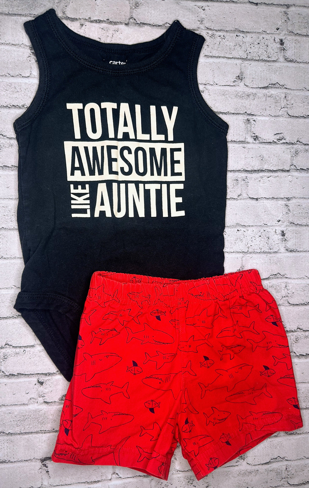 Carter’s: “Totally Awesome Like Auntie” Set- 9m
