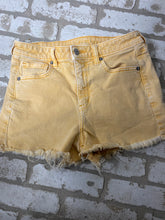 Load image into Gallery viewer, American Eagle Shorts (4) Stretch

