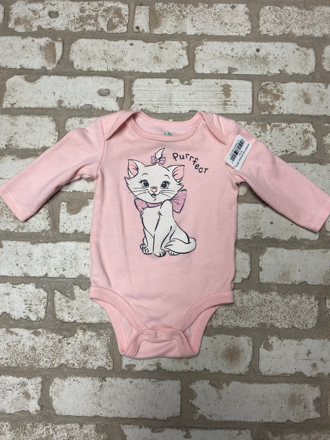 perfect cat onesie (6M)