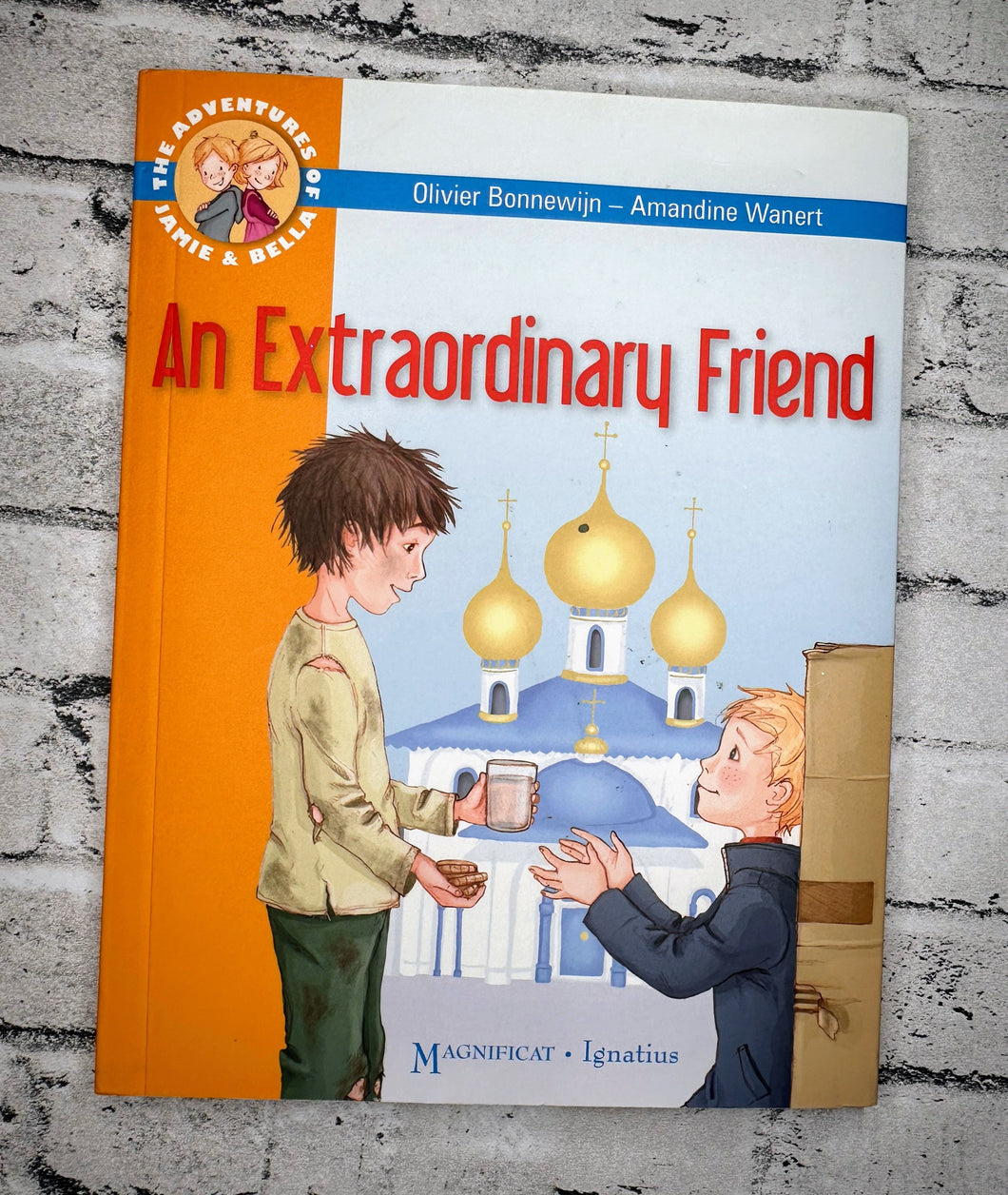 An Extraordinary Friend - Chapter Book