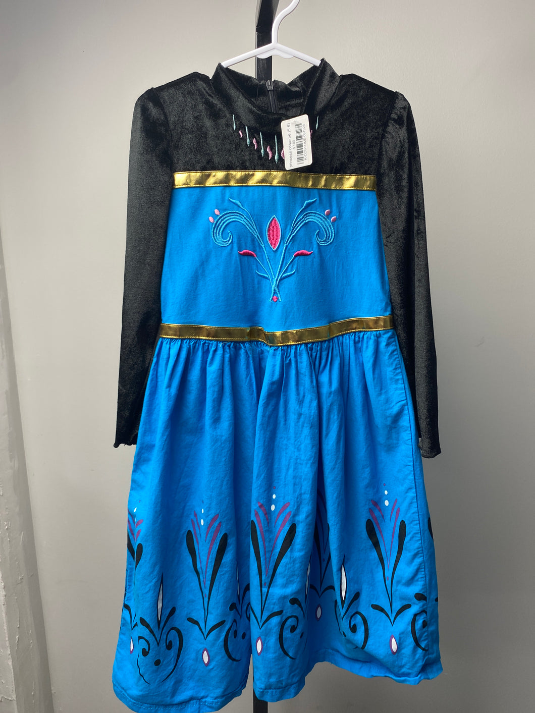 princess costume (5-6)
