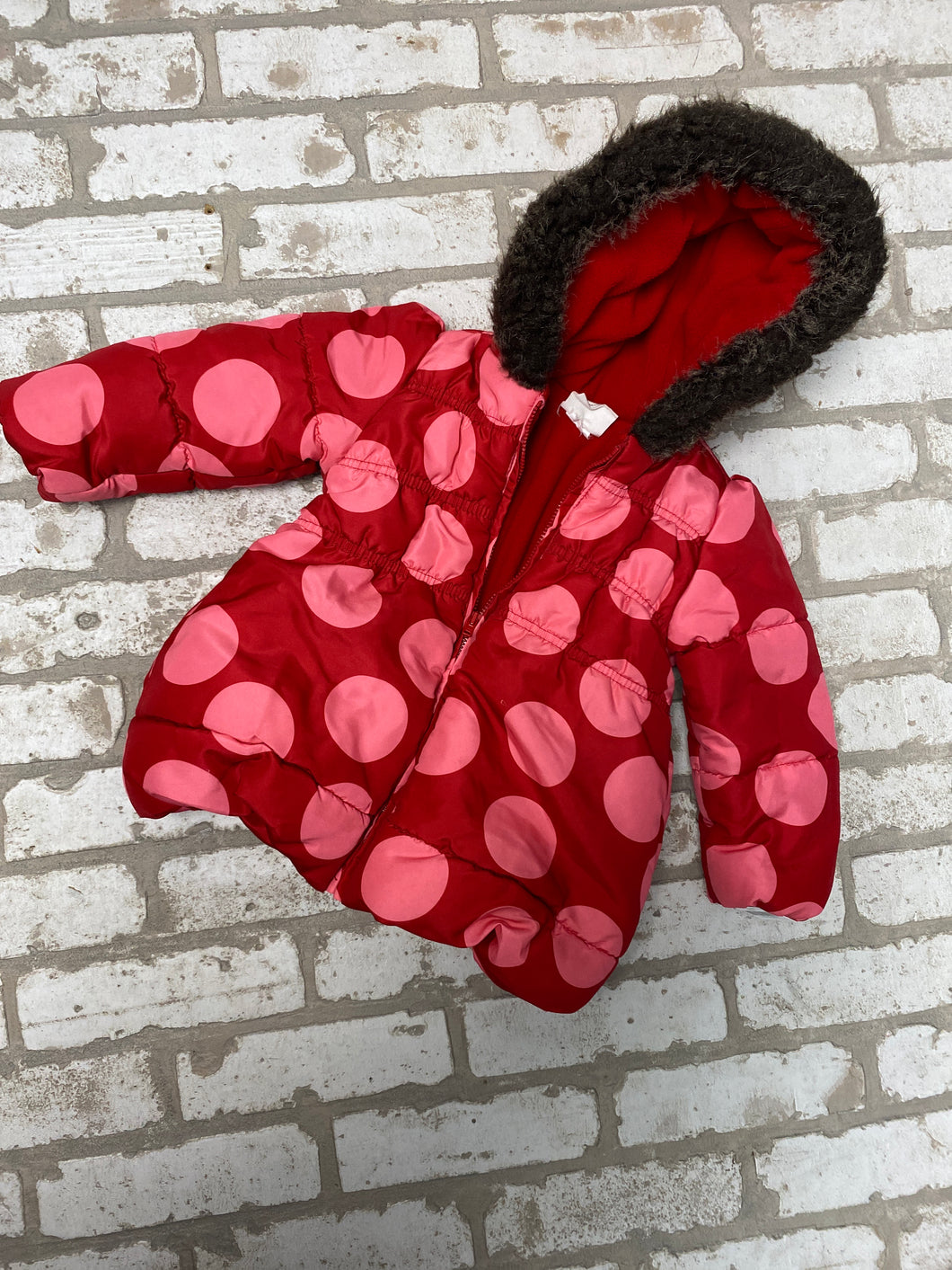 Crazy 8 Girl's Winter Jacket (18/24M)