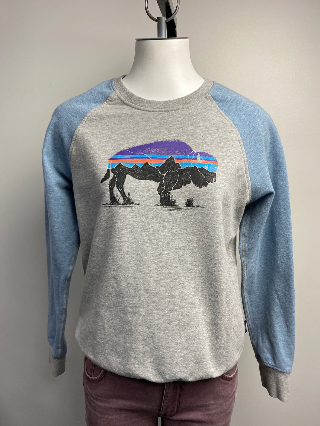 Patagonia graphic crew (S)