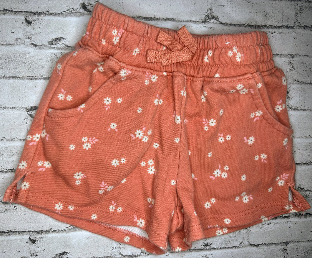 Garanimals: Mauve Floral Shorts -2T