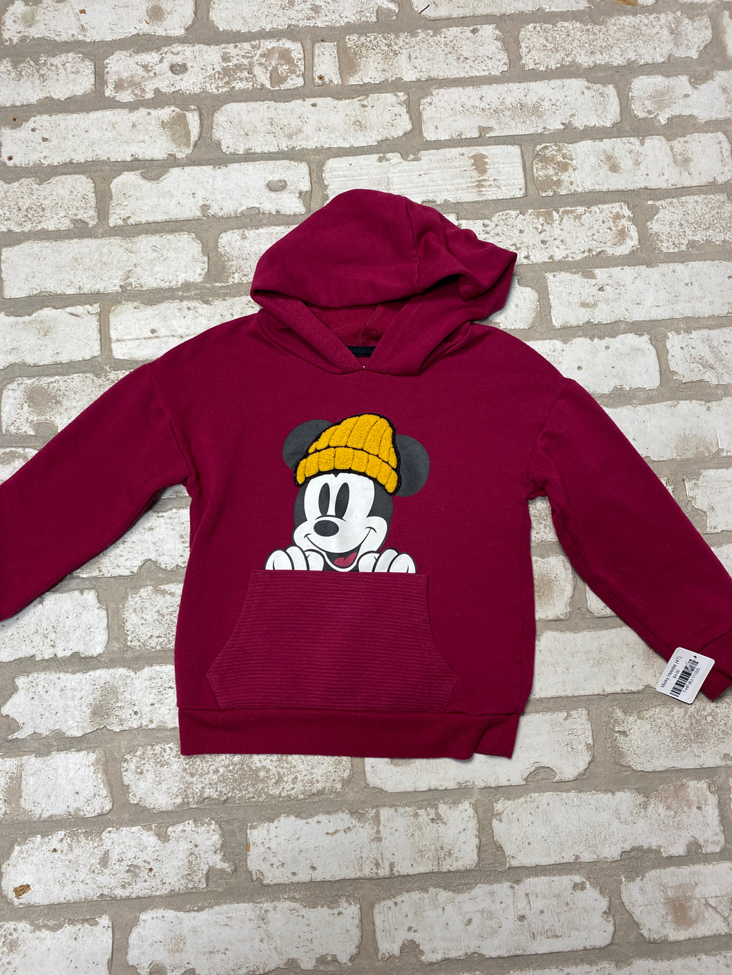 Micky Hoodie (4T)