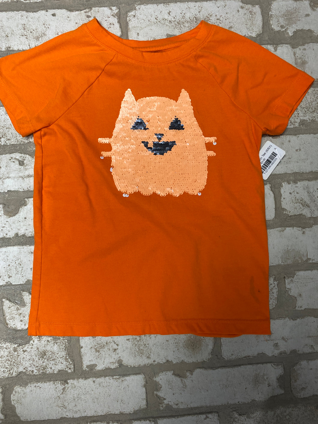 Girl's Pumpkin Tee (6/6X)