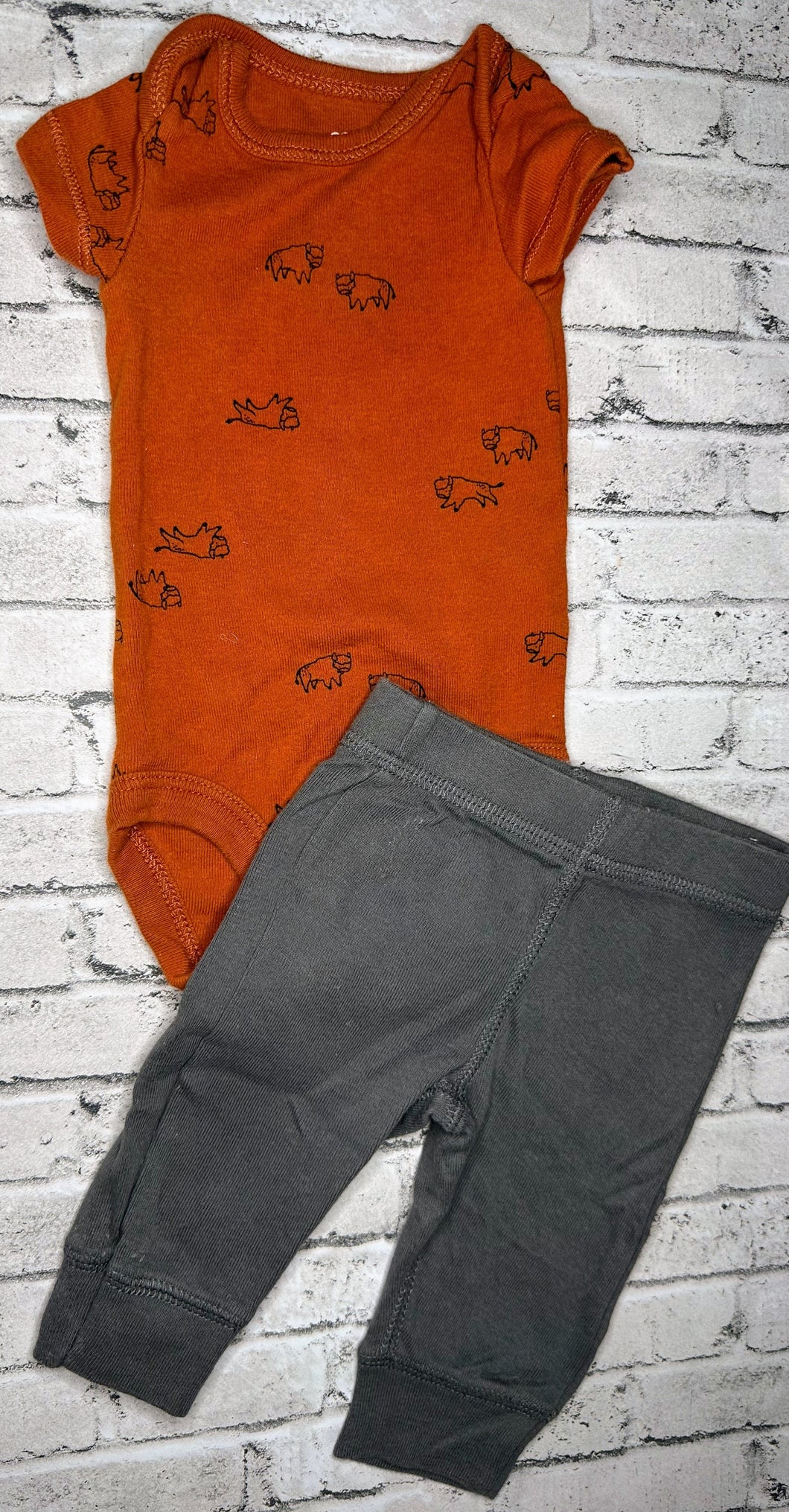 2pc Buffalo Set- Newborn
