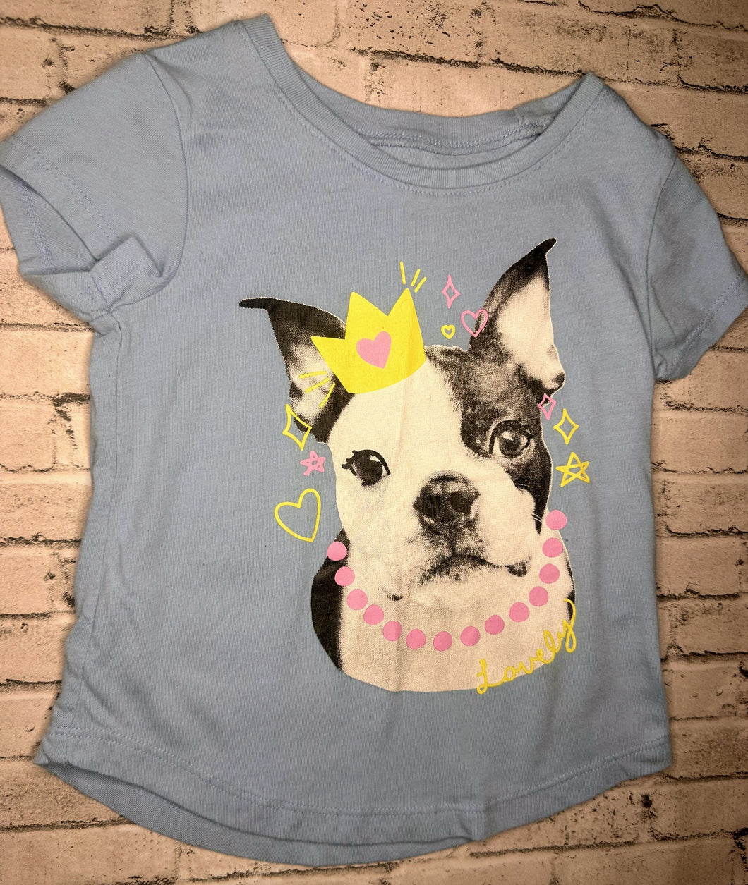Falls Creek: Crowned Puppy Tee- 3T