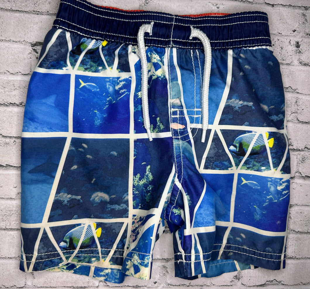 Old Navy: Fish Swim Shorts- 12/18m