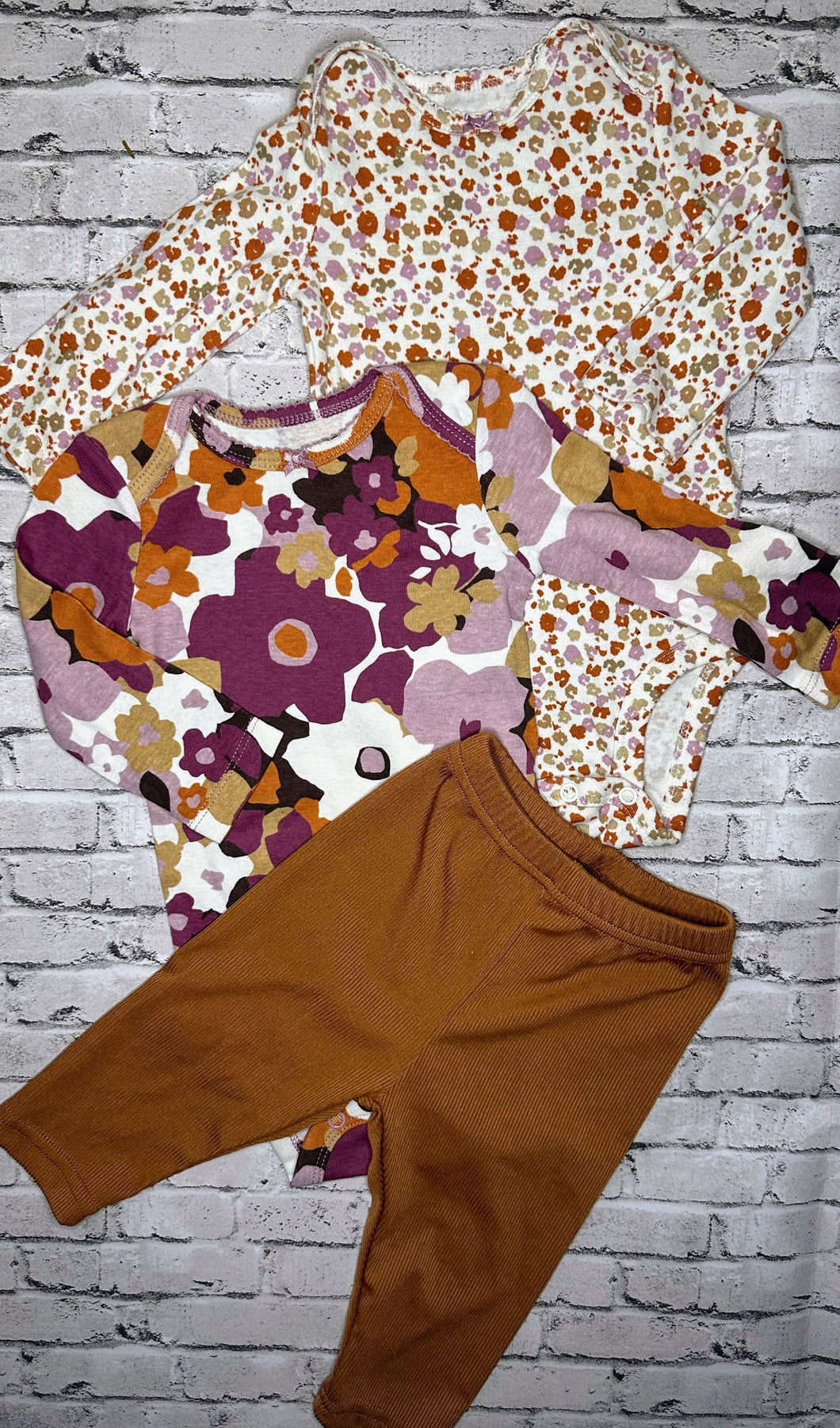 3pc Tan/Purple Floral Set- 6m